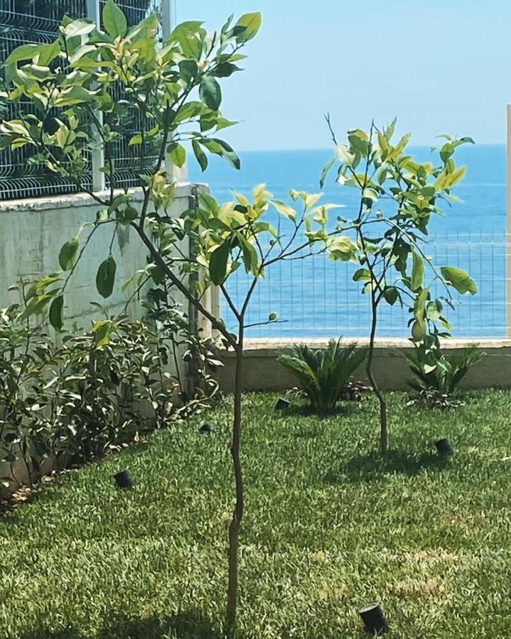 Amal * Palasë